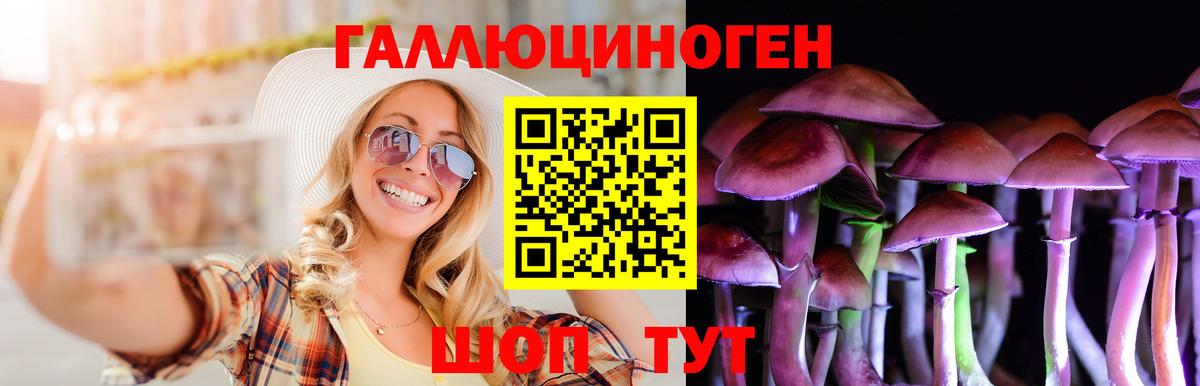 Псилоцибиновые грибы GOLDEN TEACHER Унеча
