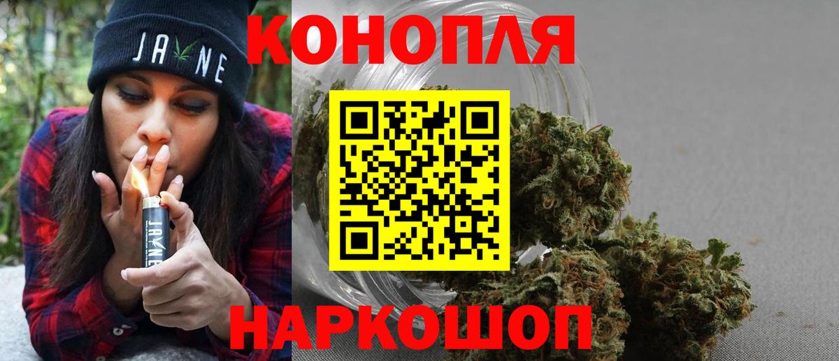 Бошки Шишки план Унеча